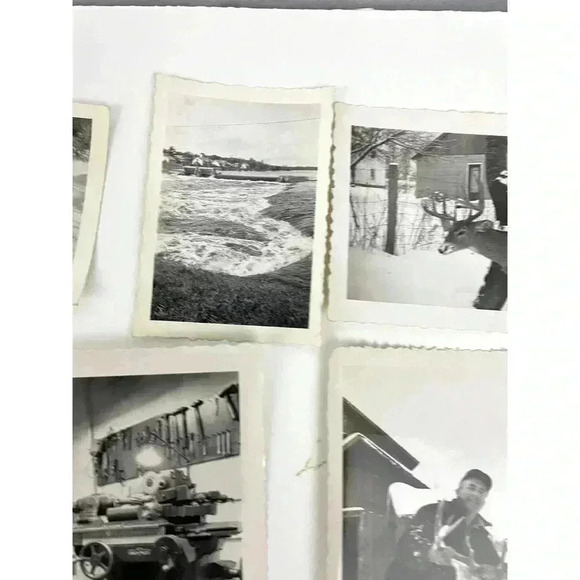 VTG 27 B&W Photographs Travel Animals Wildlife Grave Cars Farming 40's Ephemera - Picture 16 of 16